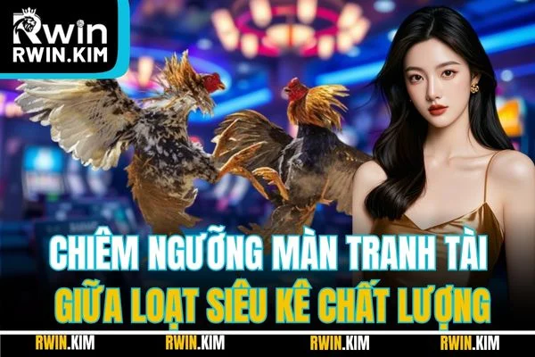 Chiêm ngưỡng màn tranh tài giữa loạt siêu kê chất lượng Chiêm ngưỡng màn tranh tài giữa loạt siêu kê chất lượng