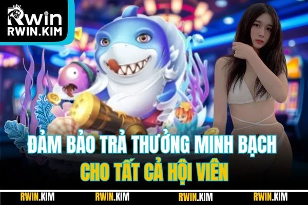 Đảm bảo trả thưởng minh bạch cho tất cả hội viên Đảm bảo trả thưởng minh bạch cho tất cả hội viên